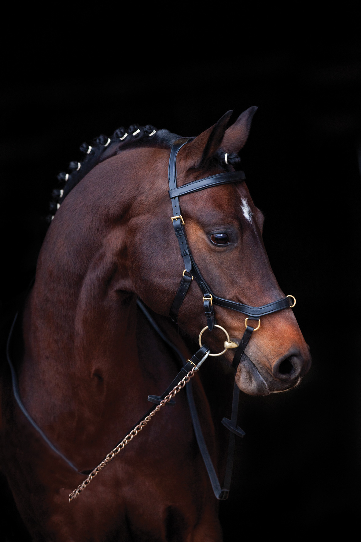 MULTIBRIDLE MICKLEM  